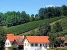 фото отеля Gasthof Kirchenwirt Mirth