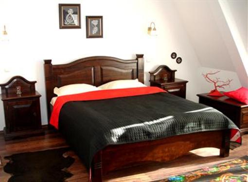 фото отеля Pension Hanul Voievozilor