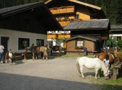 фото отеля Bauernhof Farmauhof