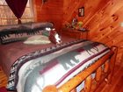 фото отеля Bear Grove Cabins Bed & Breakfast