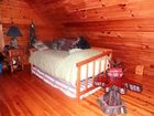 фото отеля Bear Grove Cabins Bed & Breakfast