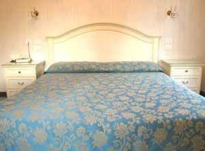 фото отеля Du Parc Hotel Stresa