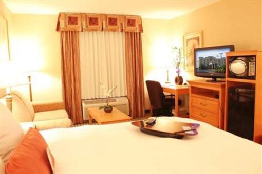 фото отеля Hampton Inn & Suites Addison