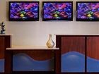 фото отеля Fairfield Inn & Suites Orlando at Seaworld