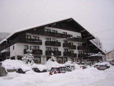 фото отеля Hotel Nigritella Selva di Cadore