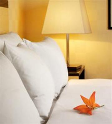 фото отеля Vila Meteor Hotel Cluj-Napoca