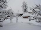 фото отеля Marliesenhof