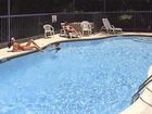 фото отеля Flamingo Inn Kissimmee