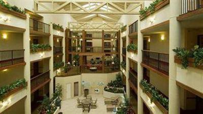 фото отеля Hilton Garden Inn San Antonio Airport