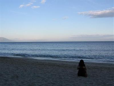 фото отеля Tamaraw Beach Resort