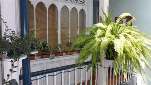фото отеля Zohar Hostel