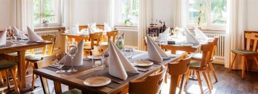 фото отеля Gruner Baum Gasthaus