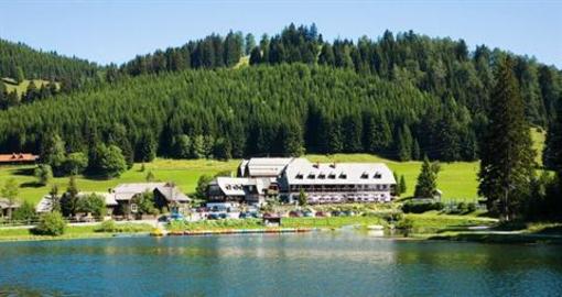 фото отеля Hotel Teichwirt Fladnitz an der Teichalm