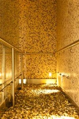 фото отеля Hotel Spa Ceres