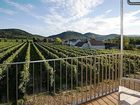 фото отеля Weinresidenz Sonnleitner Furth bei Gottweig