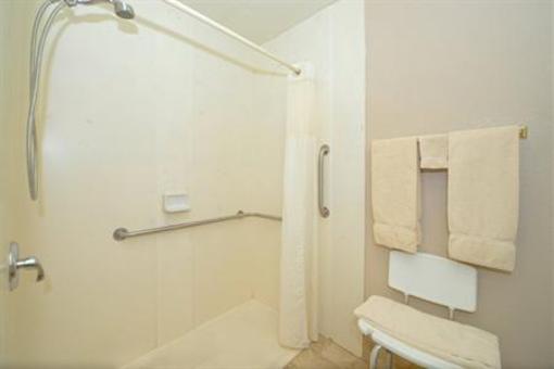 фото отеля BEST WESTERN PLUS Spring Hill Inn & Suites