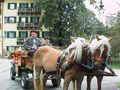 фото отеля Landgasthof Torrenerhof Golling an der Salzach