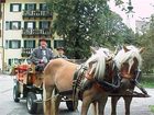 фото отеля Landgasthof Torrenerhof Golling an der Salzach