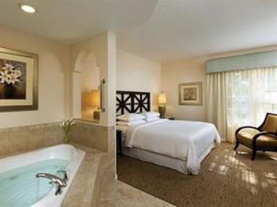 фото отеля Sheraton Vistana Resort Villas Orlando