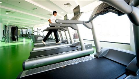 фото отеля Holiday Inn Dubai-Al Barsha