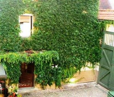 фото отеля Gastehaus im Dorfbackhaus