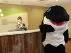фото отеля Holiday Inn San Antonio NW - Seaworld Area