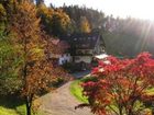 фото отеля Waldhotel Palmspring