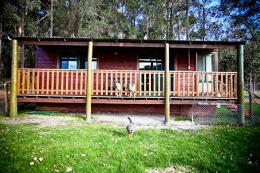 фото отеля Diamond Forest Cottages