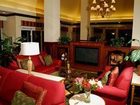 фото отеля Hilton Garden Inn Tampa Northwest Oldsmar