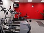 фото отеля Hilton Garden Inn Tampa Northwest Oldsmar