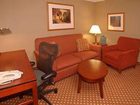 фото отеля Hilton Garden Inn Tampa Northwest Oldsmar