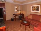 фото отеля Hilton Garden Inn Tampa Northwest Oldsmar