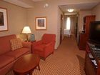фото отеля Hilton Garden Inn Tampa Northwest Oldsmar