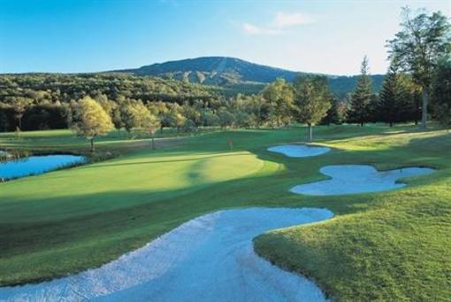 фото отеля Stratton Mountain Resort
