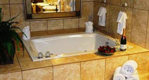 фото отеля Embassy Suites Hotel Detroit Livonia / Metro West