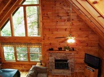 фото отеля Mountain Shadows Log Home Resort