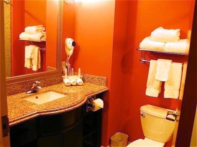 фото отеля Holiday Inn Express Hotel & Suites Orlando South-Davenport