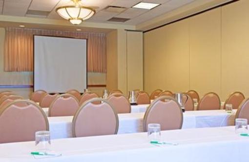фото отеля Holiday Inn & Suites Chicago O'Hare Rosemont