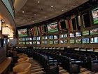 фото отеля MGM Grand Hotel and Casino