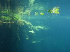фото отеля Cenote Encantado