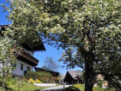 фото отеля Haus Eisenhut