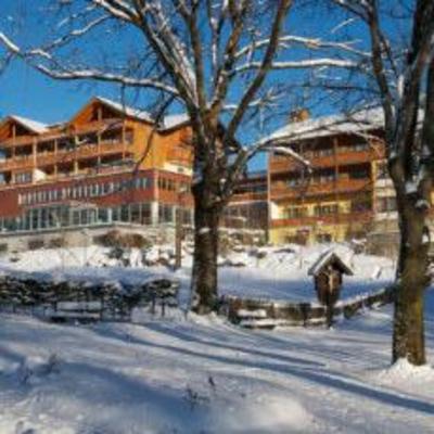 фото отеля Dorfhotel Fasching
