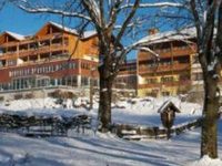 Dorfhotel Fasching