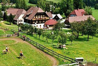фото отеля Pension Zechnerhof Sankt Georgen ob Murau
