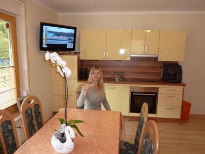 фото отеля Landhaus Vronis Apartments Hüttau