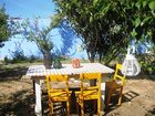 фото отеля Lemon Tree Beach Hostel