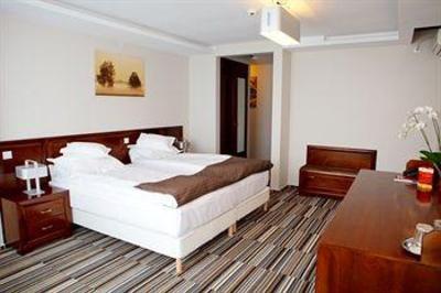 фото отеля Hotel Belvedere Botosani