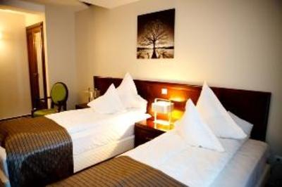 фото отеля Hotel Belvedere Botosani
