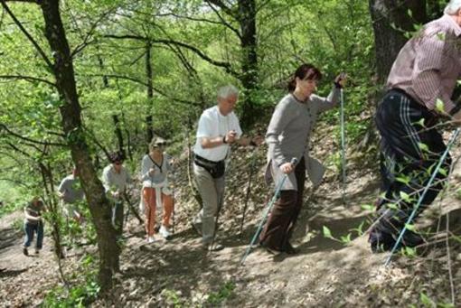 фото отеля Oko-Park Pension Campsite & Adventure