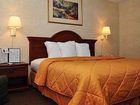 фото отеля Comfort Inn Burkeville